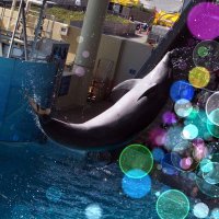 瀬那@取引垢 (@cheshire_g) 's Twitter Profile Photo