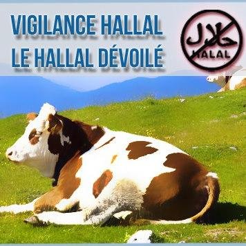 Vigilance Hallal a pour objectif de vous informer sur l’abattage halal et sur les conséquences sur nos sociétés de l’application de la charia islamique