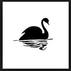 Risk taker & Black swan farmer.
