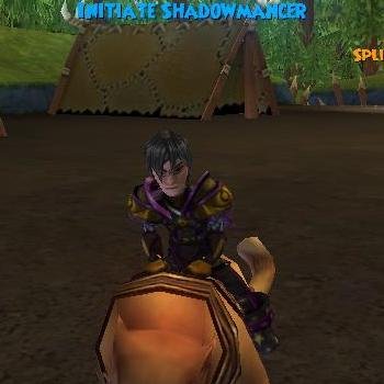 wizard101 player loves skyrim plys football and basketball builds gocarts likes pizza rap and fall out boy .