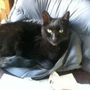 Norma Mercer - @mercer_gmail - Twitter