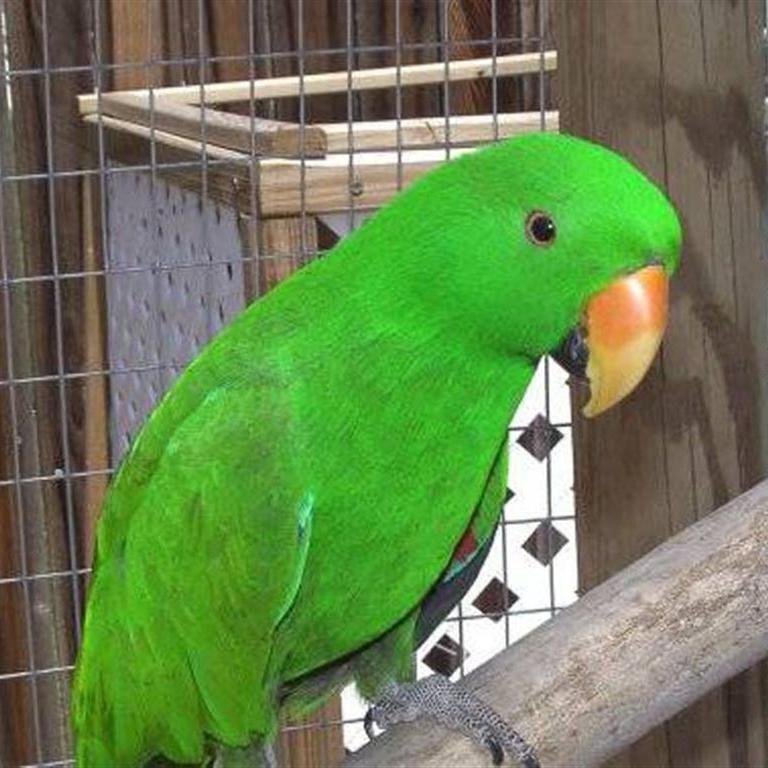 haruharuyya's profile picture. kesayangan semua orang