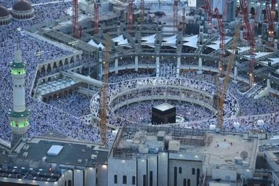 aboshams0a's profile picture. 