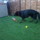 barry greenfield - @293barry - Twitter