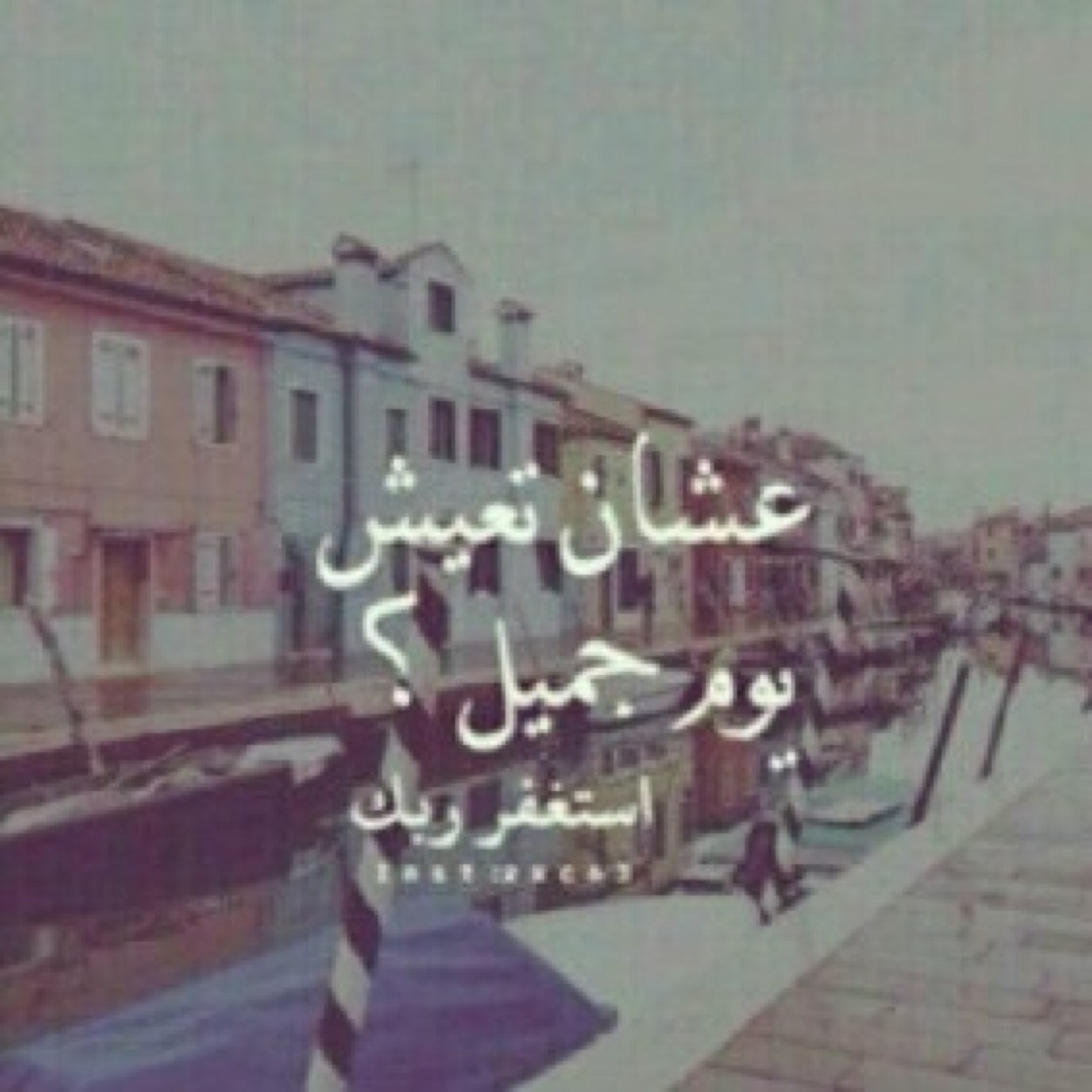 حساب ديني يشهد لي ولك | ﷽ قل هو اللَّه أحد ۝ اللَّهُ الصمد ۝ لم يلد ولم يولد ۝ ولم يكن له كفوًا أحد ۝﴾.
