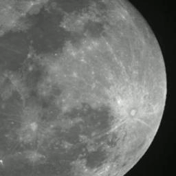 Graham_Roche's profile picture. @Graham_Roche@mastodon.online