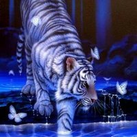 fabre annabelle (@annabelle83100) 's Twitter Profile