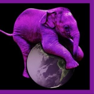 GreatNonsense's profile picture. No budget, independent, grassroots productions run by founder/producer @ShelbyKroah 🎬🎥🎞 It might not make sense, but it makes great nonsense! 💜🐘