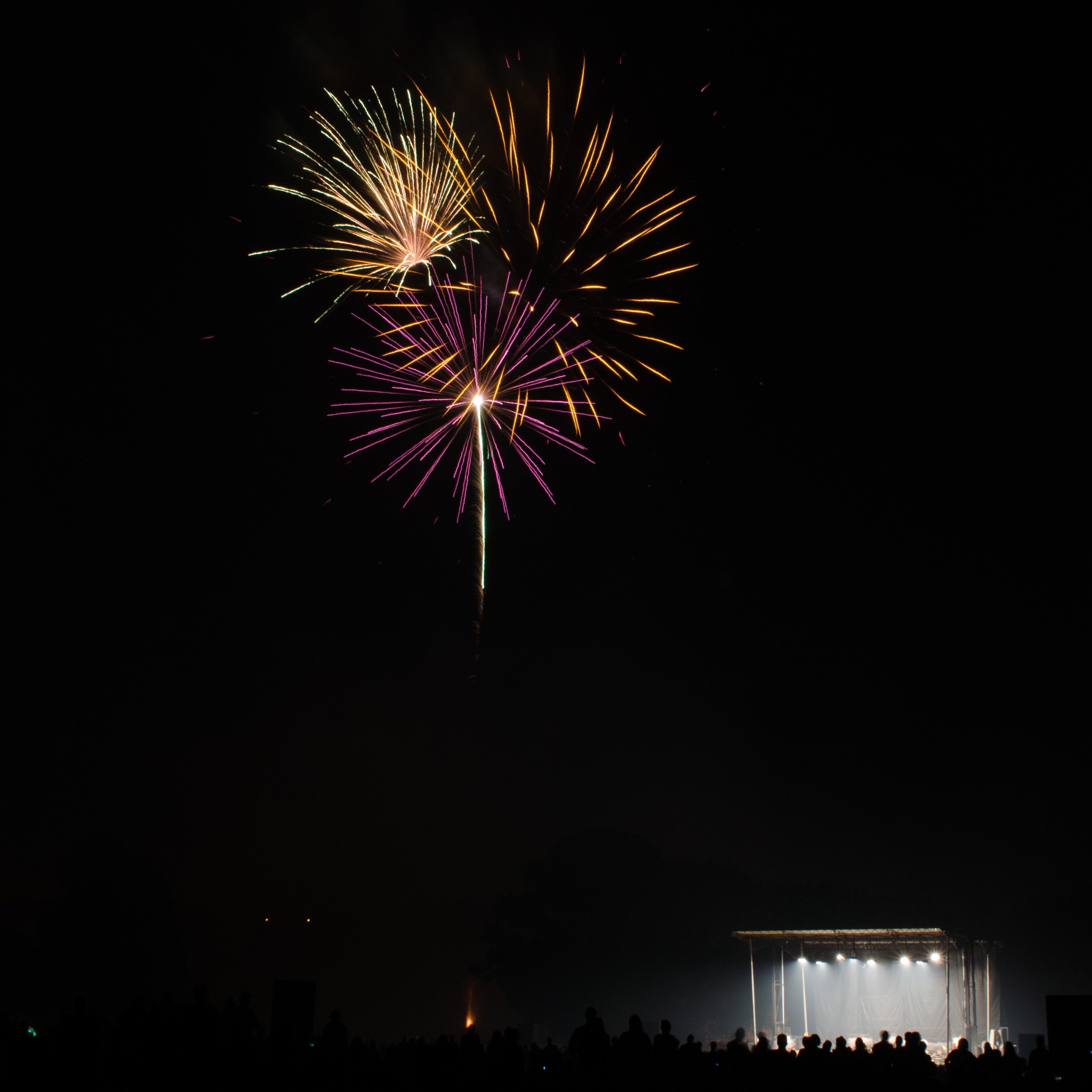 dniall71's profile picture. 