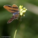 Marisol Guajardo - @marigu_jimenez - Twitter