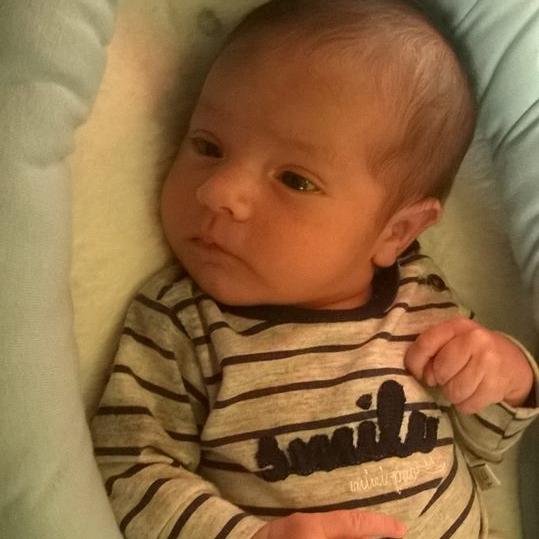 guille181081's profile picture. 