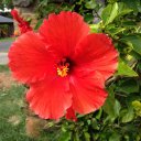 Janet Camp - @janetscamp - Twitter