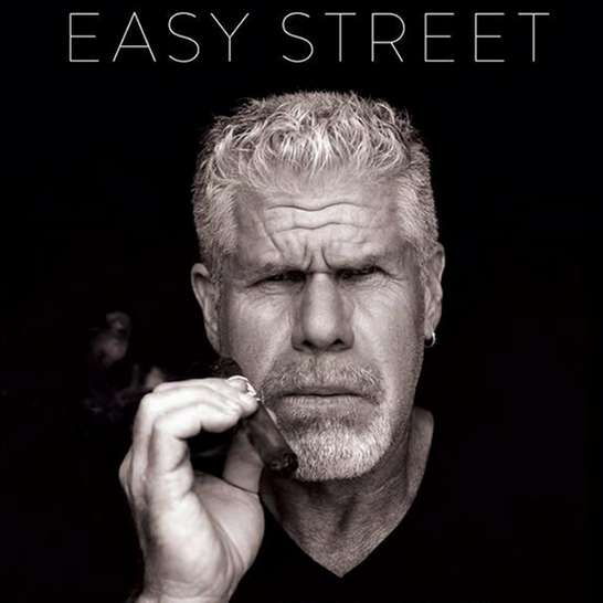 The Memoirs of Ron Perlman