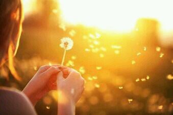 ‏لا إله إلا الله♡
