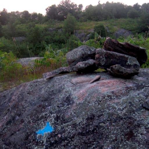 A short film to be shot in the wildlands of Ontario. A story of resentment between two men and a sympathy that takes root, changing their relationship forever.