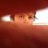 lcartert's profile image