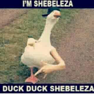 I'm a chilled guy and so follow me !