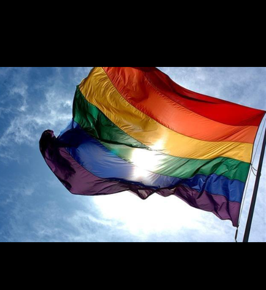 perdidisima's profile picture. Poco espacio para tanta palabra.