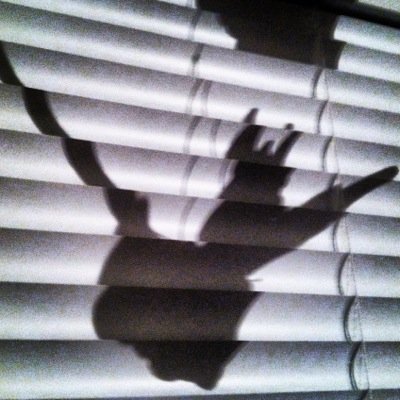 davidsgarcia's profile picture. 