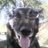 marcegeaprat's profile image