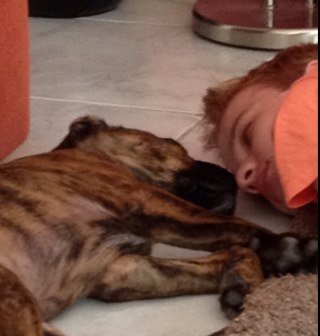 Sam1999fifa's profile picture. 