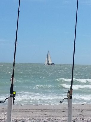 Beach, fishing, kayaking #GoCanes! #CanesFam 🙌 #FinsUp🐬 Marlins⚾️ Panthers🏒