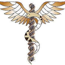 Eleonora_1964's profile picture. I call it 'war', not 'exporting democracy'. i say 'civilians killed', not 'collateral damages'. and 'human rights' should be for all, or call them 'privileges'