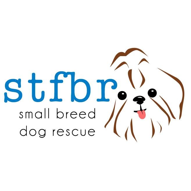 Shih Tzus and Furbabies is a nonprofit dedicated to the rescue, rehabilitation, and rehoming of small breed & mixed breed dogs. Our dogs are in foster homes.