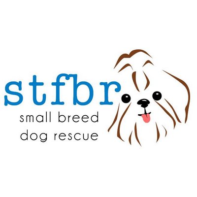 ShihTzus Furbabies Rescue resqpups X
