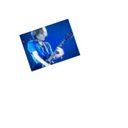 ⊿ 藍祈 (@09II___xX) Twitter
