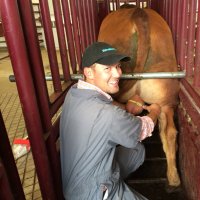 Blake Balog (@cowvetbalog) 's Twitter Profile Photo Blake Balog (@cowvetbalog) 's Twitter Profile Photo