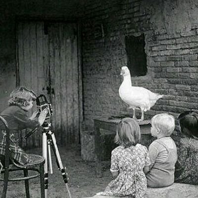 meshari212's profile picture. 