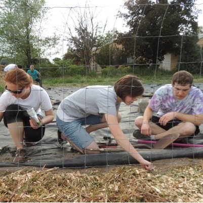 Dedicated to all youth gardeners throughout the world growing food, awareness, knowledge, community and  self confidence in others moreyouthgardening@gmail.com