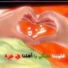 GazaMadaci's profile picture. 