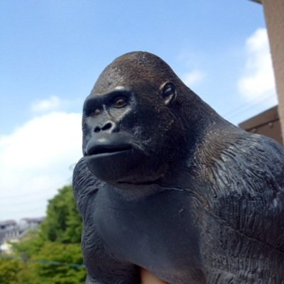 ごりらです。