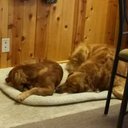 Sandy Kramer - @kaliandkaci - Twitter