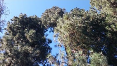 SamAlvad's profile picture. Up and coming YouTuber