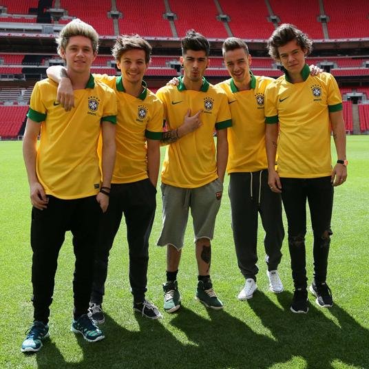 Fã da 1D