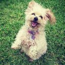 Bryan Mattson - @mattson2013 - Twitter