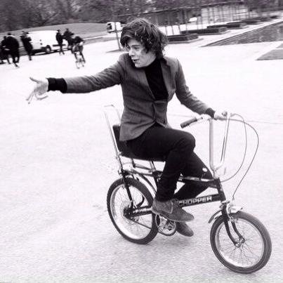 Panda_rino's profile picture. Когда банальность встречает разрушение - начинается The Degradation.