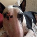 Richard Hyatt - @HyattR - Twitter