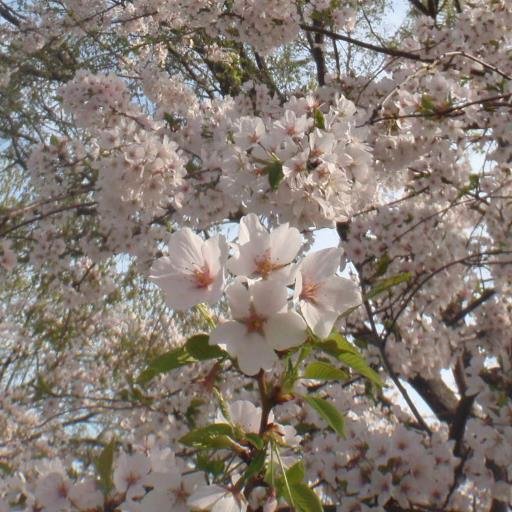 Promise me you'll always remember: You're braver than you believe, and stronger than you seem, and smarter than you think. *A. A. Milne*