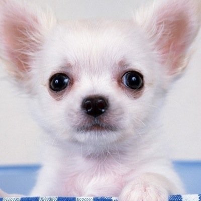 JAdmson's profile picture. 