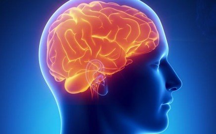 SmartTonics's profile picture. Smart Tonics are nootropic formulas to enhance function of the brain through specific organic herbs, medicinal mushrooms, superfoods, and essential oils.