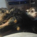 Richard Rayman - @rr_rayman - Twitter