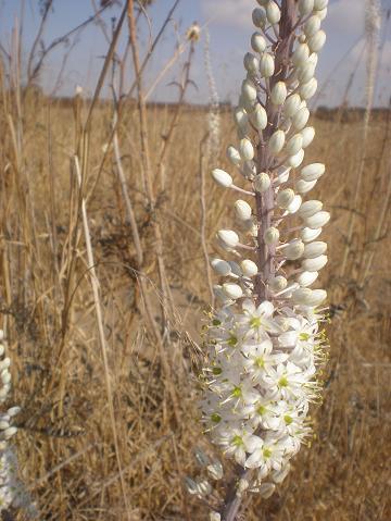 rucale's profile picture. I love to read a lot of spiritual books,studied Reiky,Bio-energy.I love being in nature places