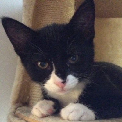 vickie_wyant's profile picture. 