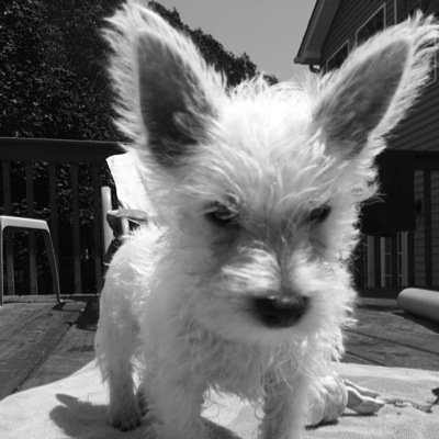 emccrystal42's profile picture. 