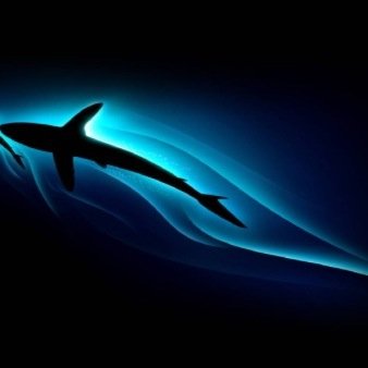 O_Phenox_O's profile picture. Im a kill feeder and i am trying to get clips for my next montage Revival. I will be editing it myself and i am new to editing so i would love some feedback.