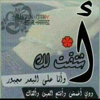 slt55780639's profile picture. ♡.♡.♡¤→